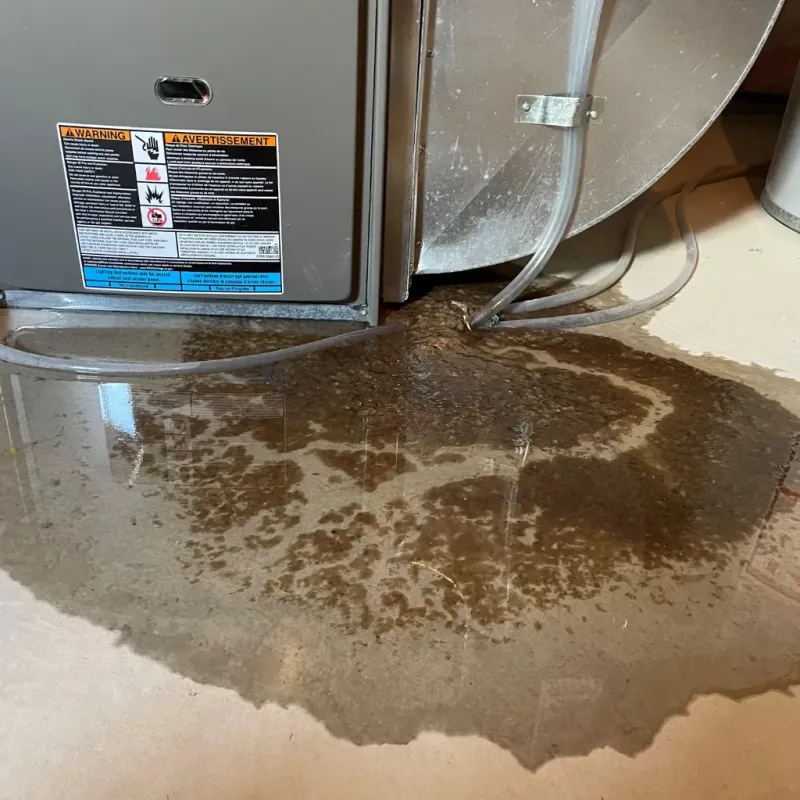 Appliance Leak Cleanup in Thibodaux, LA